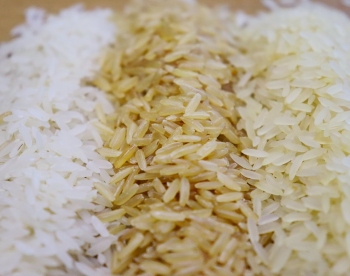 Para SindArroz-SC, leilo causar danos irreparveis s indstrias de arroz do Brasil