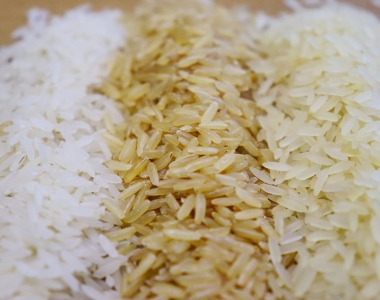 Para SindArroz-SC, leilo causar danos irreparveis s indstrias de arroz do Brasil